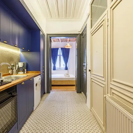 Apartment 1 Bedroom Renovated House In Taksim *